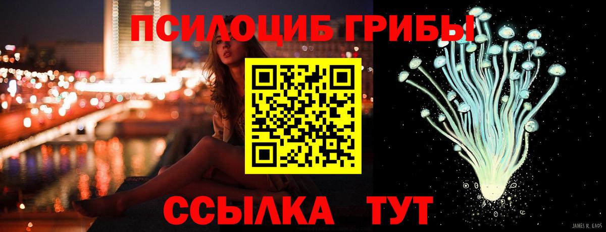Псилоцибиновые грибы Psilocybine cubensis Владивосток